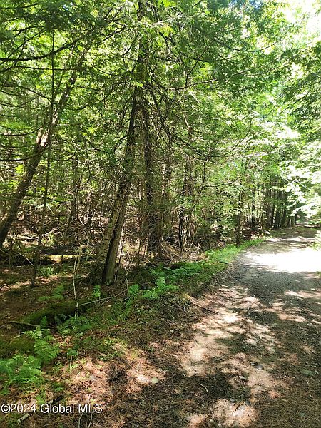 2nd image of L11 Pumpkin Hollow Road
