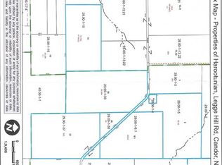 230 Legge Hill Rd, Candor, NY 13743