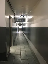 Rented by The Leveque Group, LLC