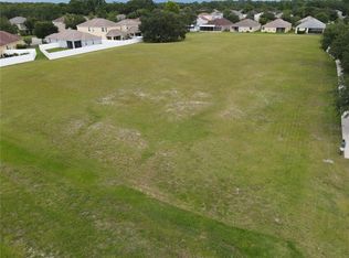 1035 Nashville Dr, Wesley Chapel, FL 33544