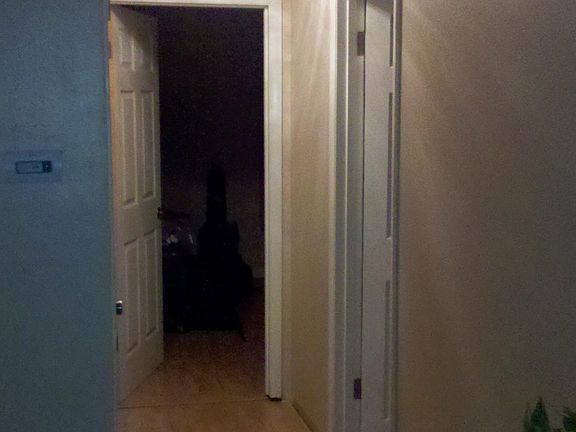 Front hallway with door to bathroom on right, 2nd bedroom door straight ahead, (not pictured) door to 1st bedroom on left, across from bathroom door.
