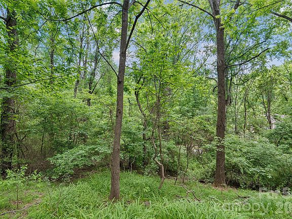 4th image of 0 Timberwood Dr