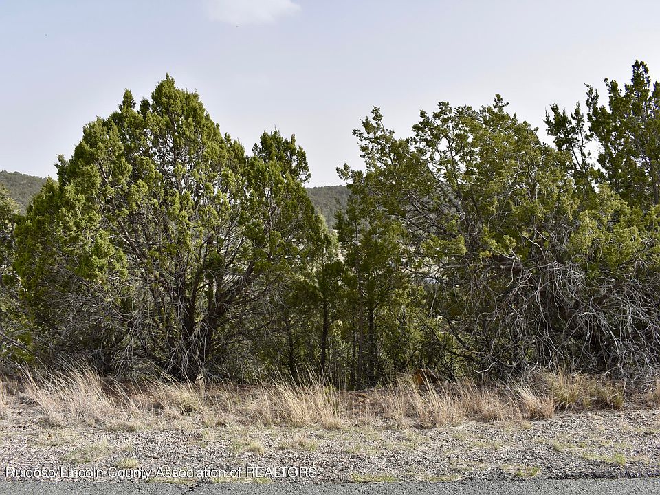 2nd image of LOT 6 Shoshone Trl