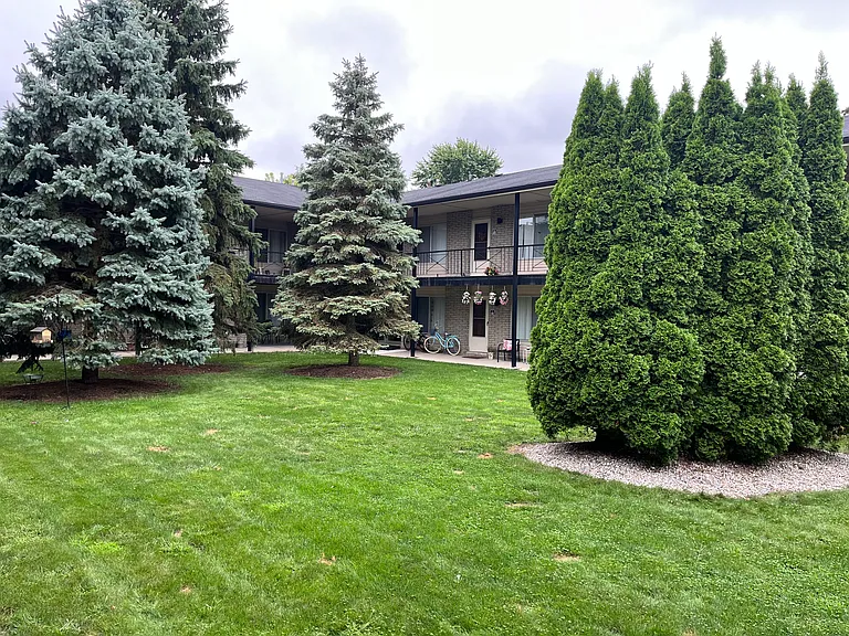 Silver Pines Apartments — Photo 9