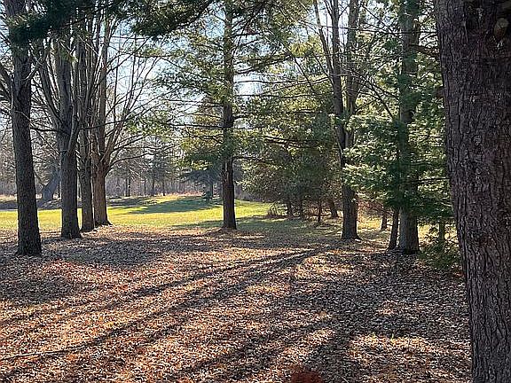 west yard to pond