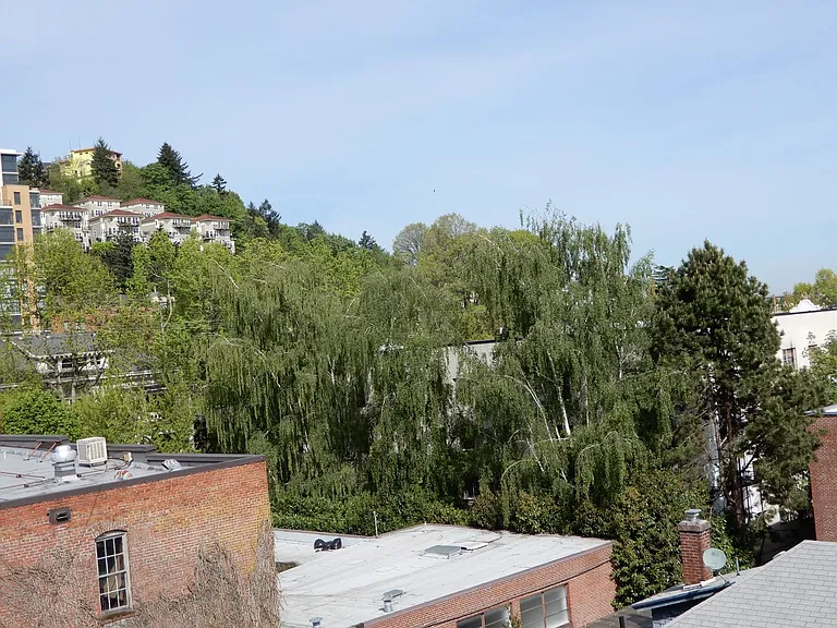 Lucretia Court Apartments — Photo 27