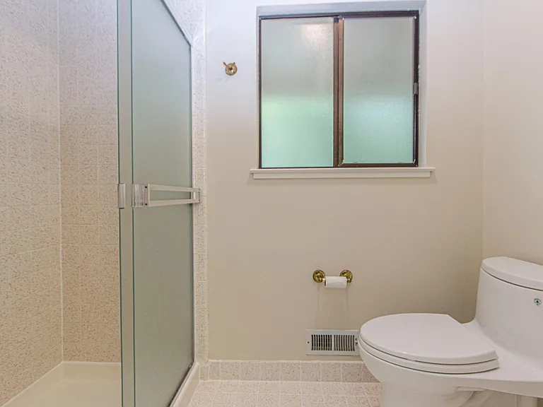 Master Bathroom Shower
