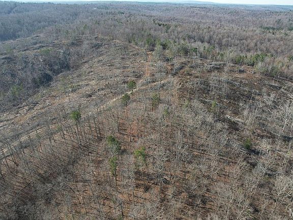 4th image of 11834 Highway 67