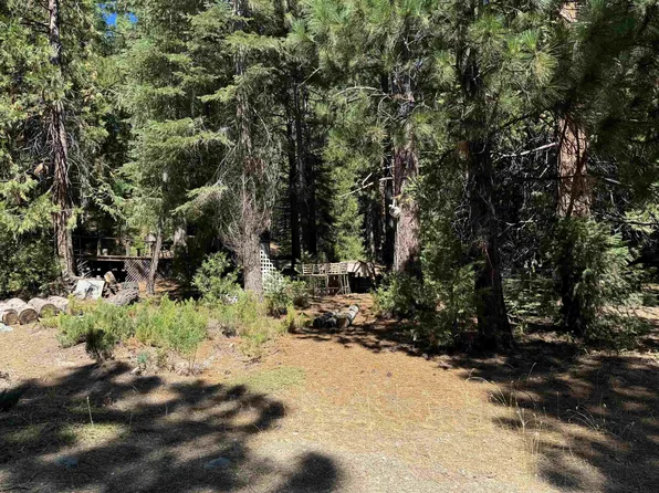 69477 N Mohawk Vista Dr, Blairsden Graeagle, CA 96103