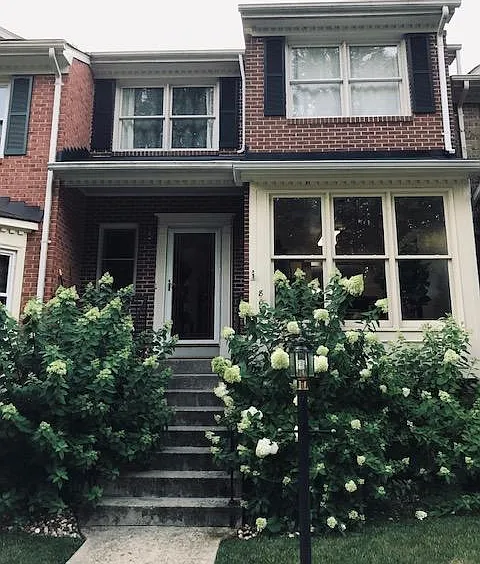Front of the house with Limelight Hydrangeas