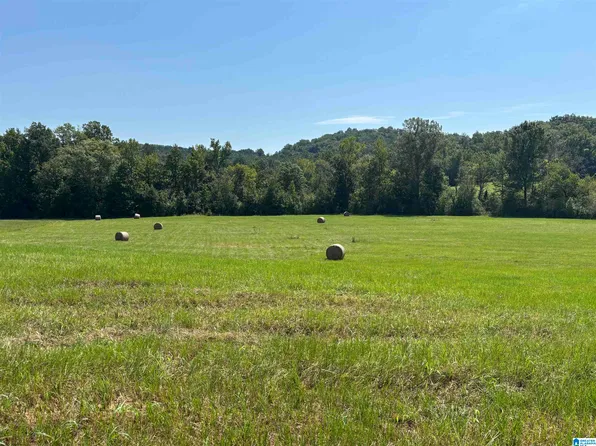 6559 State Highway 174, Springville, AL 35146