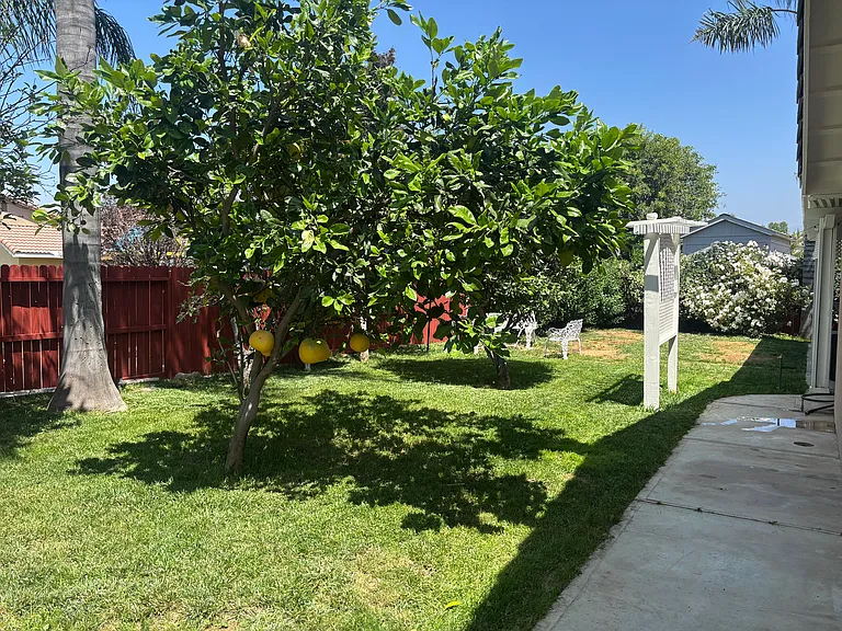 1509 Trinette Dr — Photo 8