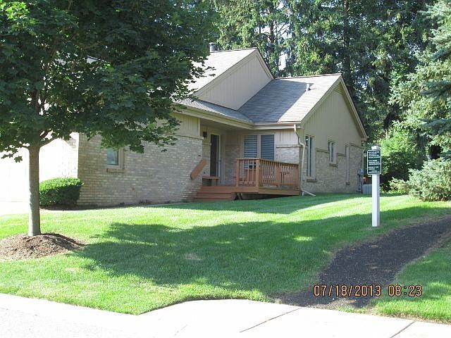 35305 Blue Spruce