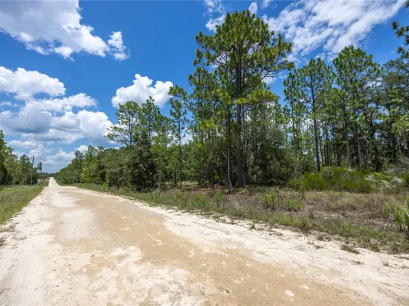 NE 150th Ct Lot 23, Williston, FL 32696