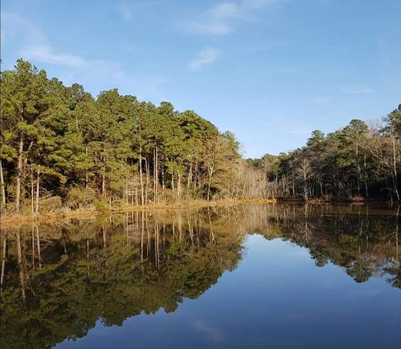 1st image of 6656 County Road 1