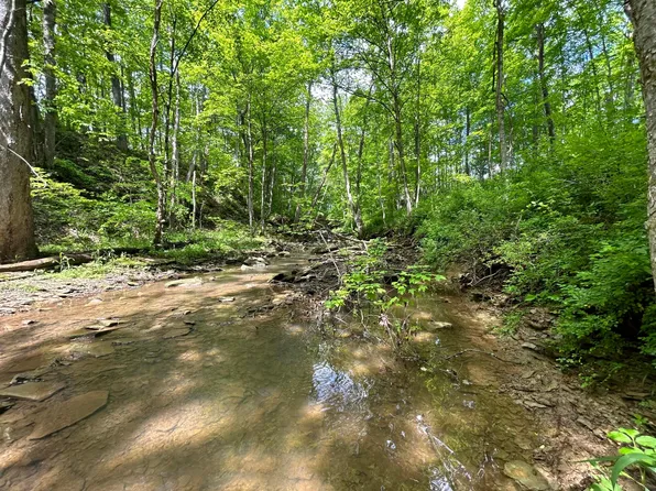 0 Buchanan Rd, Waverly, OH 45690