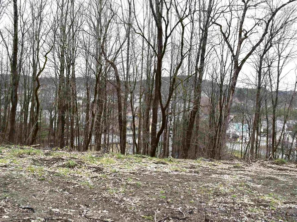 Lot 26 Lafayette Street #26, St. Johnsbury, VT 05819