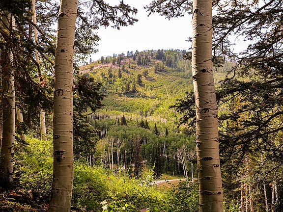 2nd image of 301 White Pine Canyon Rd Lot 301