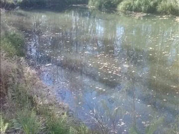 202 Century Oaks Ln, Hopkins, SC 29061