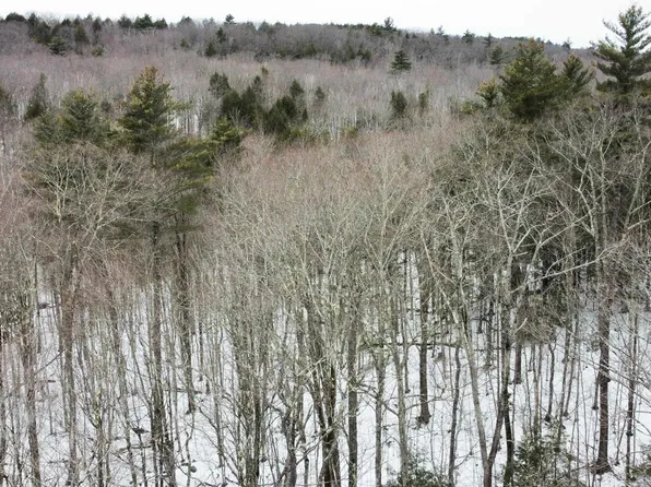 0 Caldwell Pond Road, Alstead, NH 03602