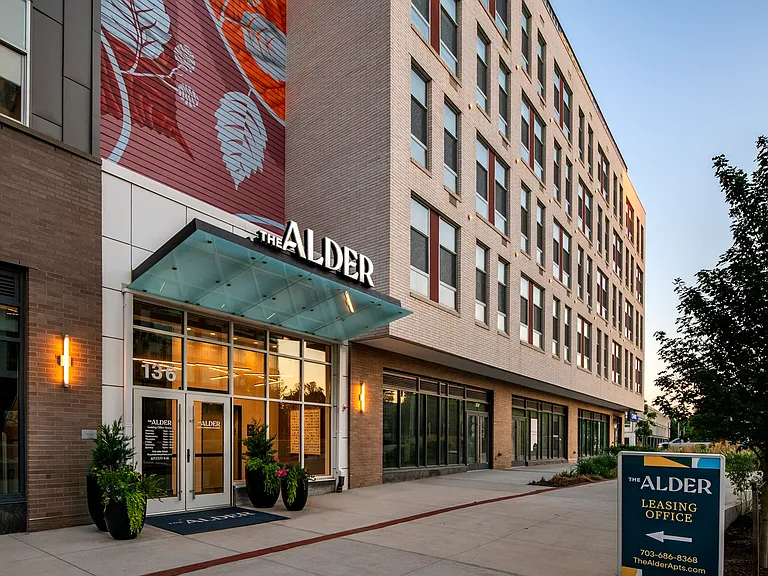The Alder — Photo 49