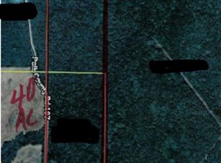 Polk Rd #197, Mena, AR 71953