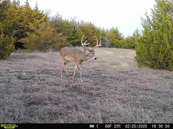 5th image of 999 One County Rd #3805