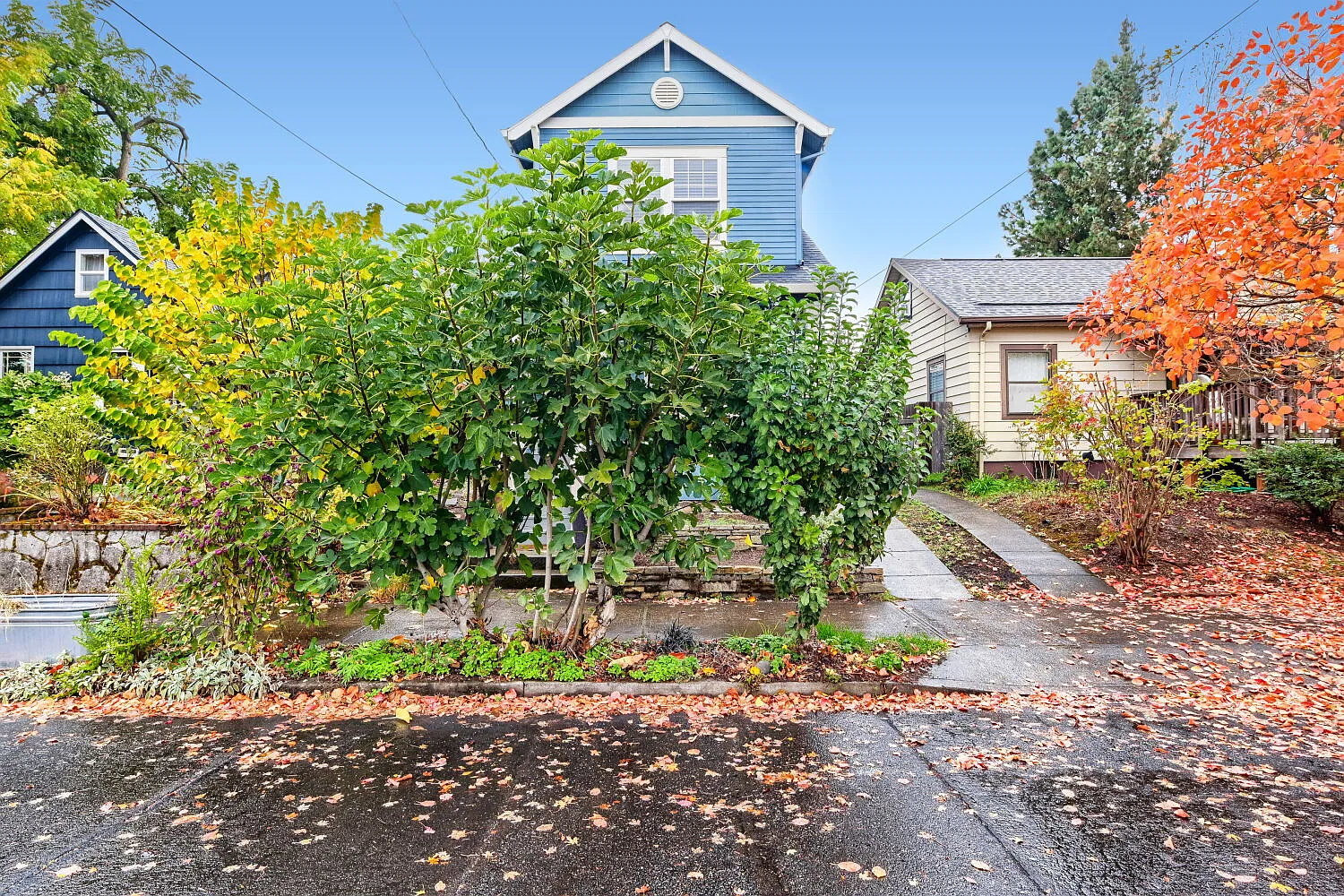 4 bed, 2.0 bath, 2092 sqft, $3,250 — Photo 4