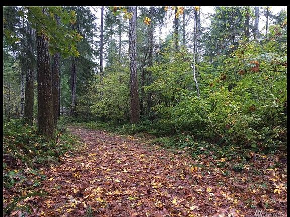2nd image of 81 N Canvasback Way