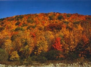 19 Rustic Rd, Oliverea, NY 12410