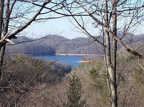 2nd image of 461 Little Switzerland Private Dr