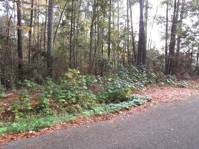 2nd image of 0 Williams Rd