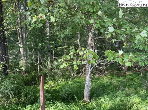 LOT 605 MTN DEW Drive, West Jefferson, NC 28694