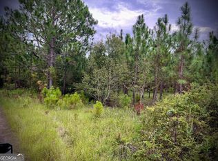 1175 Hall Rd, Dublin, GA 31021