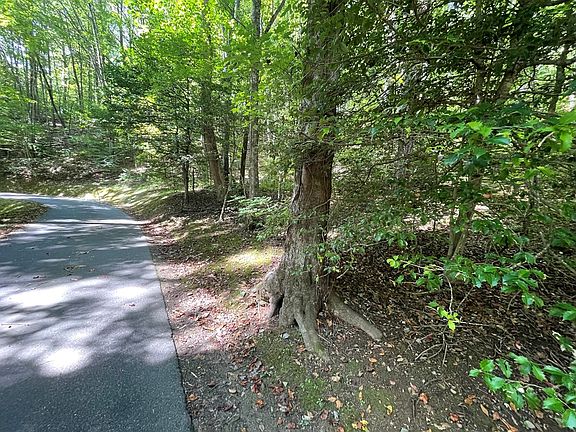 2nd image of 0 Hazel Hollow Dr