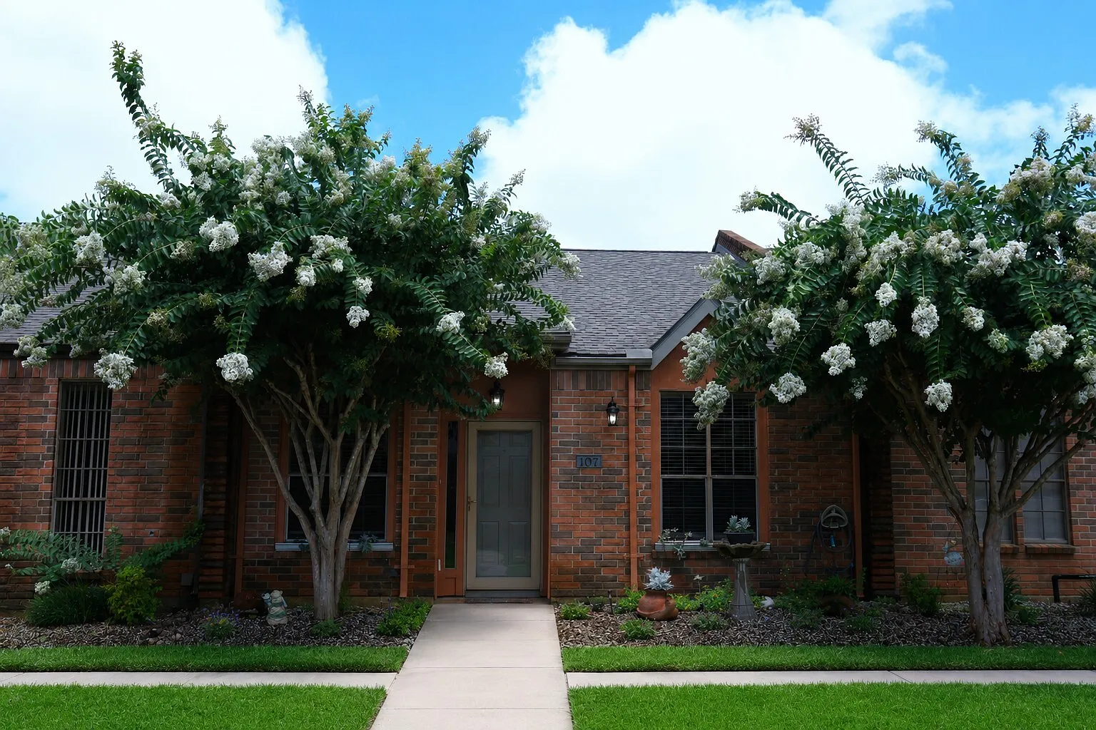 107 Manor Place TX - 1 — Photo 1