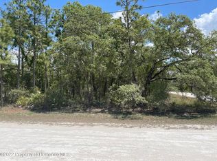 14592 Mocking Wren Rd, Brooksville, FL 34614