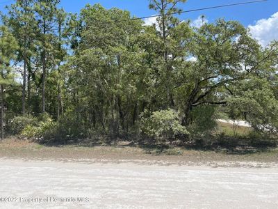 14592 Mocking Wren Rd, Brooksville, FL, 34614