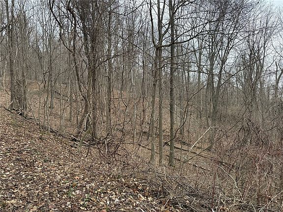 5th image of 1592 Emerson Rd