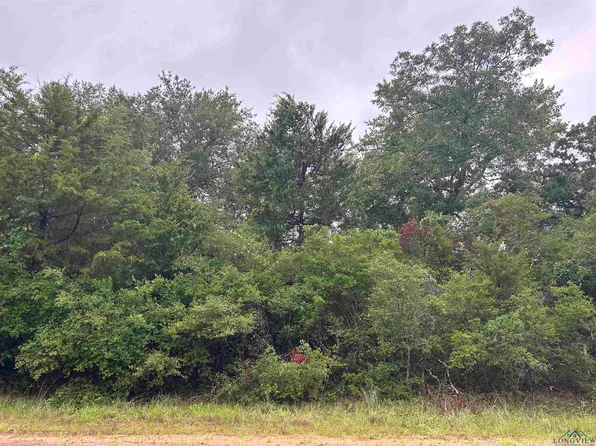 Overhill Cir, Normangee, TX 77871