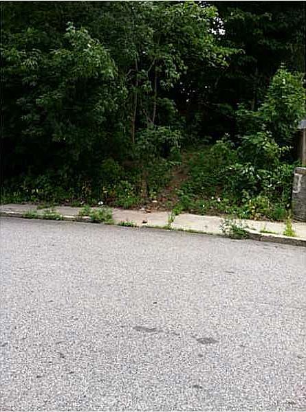 2nd image of 27 Bernice Ave