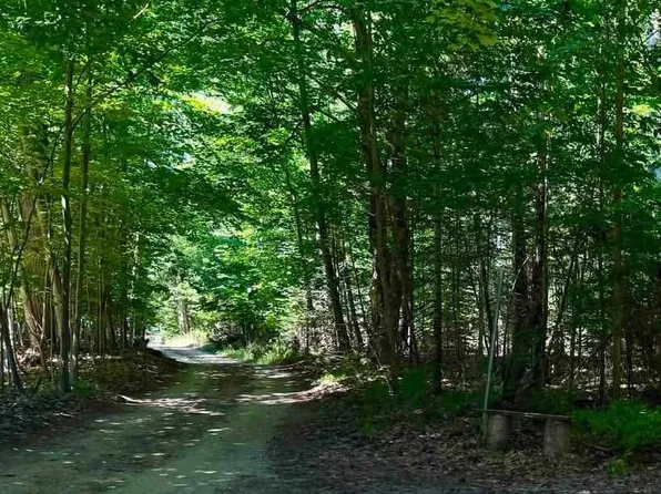 0 Hannon Dr, Beaver Island, MI 49782
