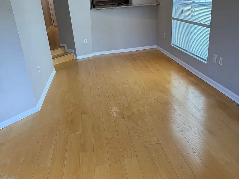 2421 W Horatio St #830 — Photo 5