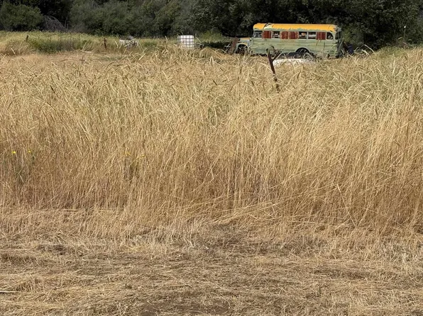 LOT 21 Hornbrook Rd, Hornbrook, CA 96044