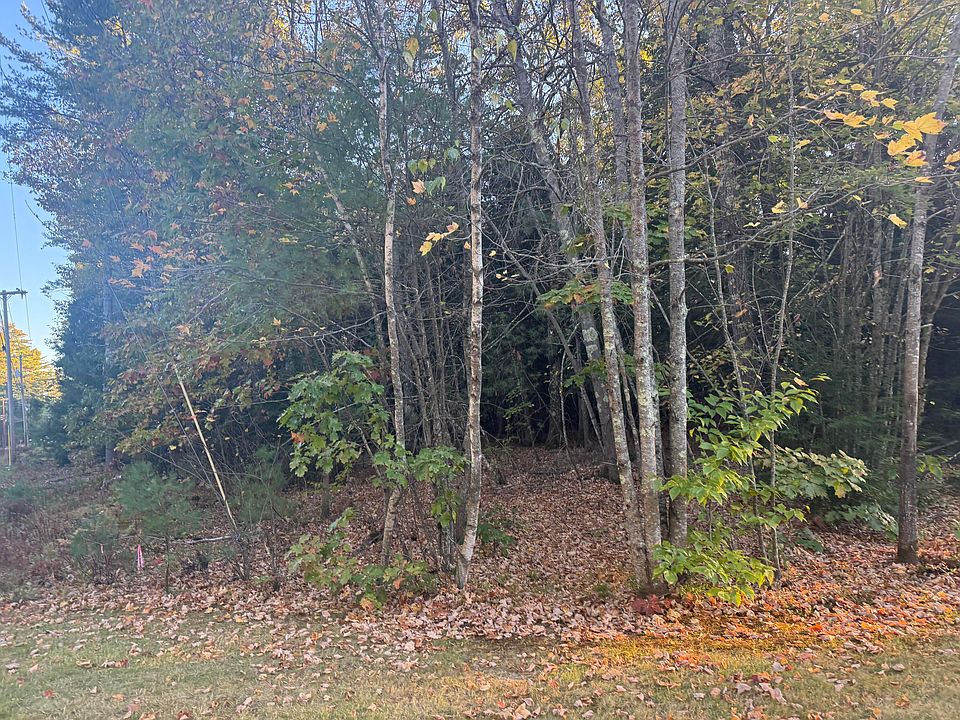 2nd image of 0 New Dam Road
