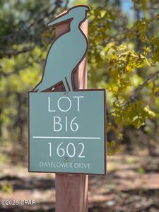 1602 Dayflower Dr, Panama City Beach, FL, 32413