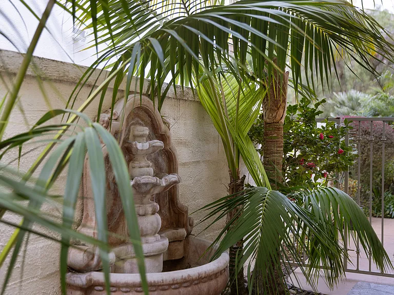 414 Camino Bandera — Photo 40