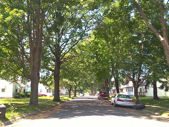 5th image of 3027 Garfield Dr