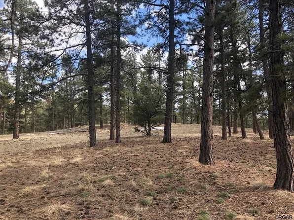 373 Good Hope Dr, Westcliffe, CO 81252