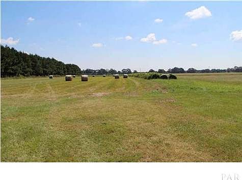 Cut your own hay!